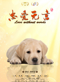 可以看的网站